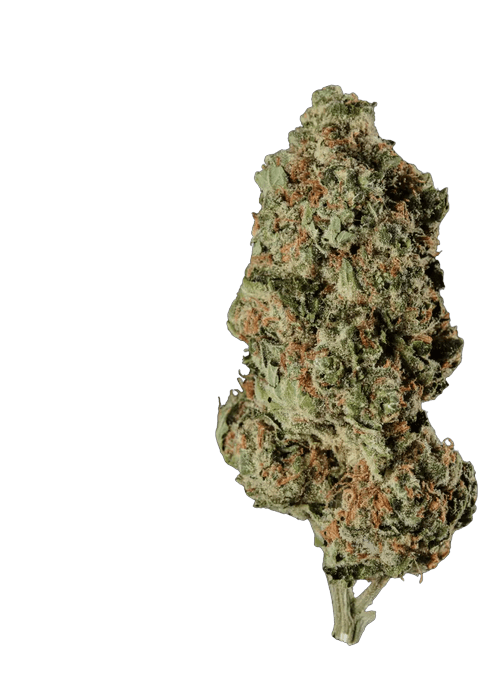 M47 - 3.5G