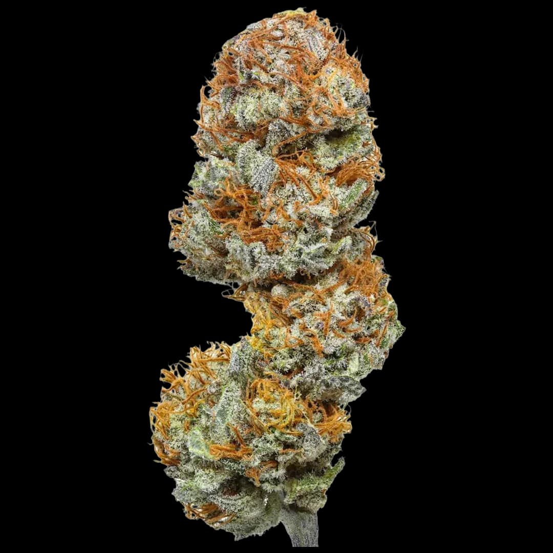 Blueberry Cough - 3.5G