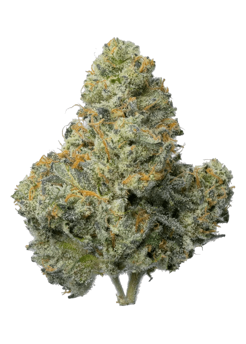 Animal Runtz(SMALL BUDS) - 3.5G