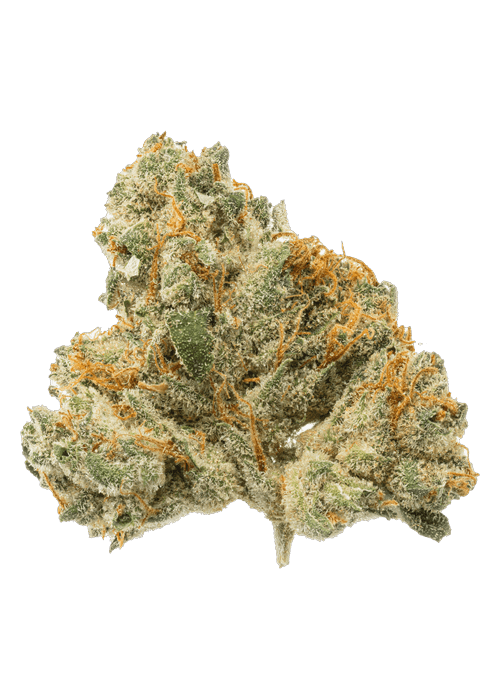 Garlic Budder - 3.5G
