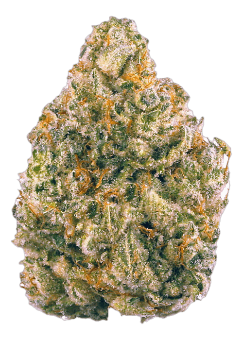 Obama Cherry Runtz(SMALL BUDS) - 3.5G