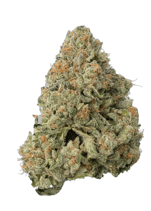UK Rainbow Belts - 3.5G