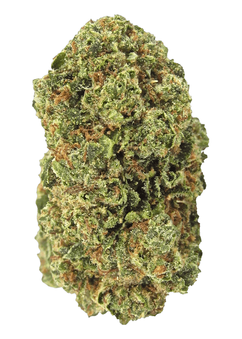 Fire Trap - 3.5G