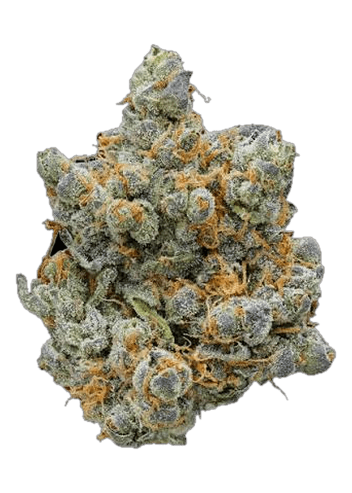 Z Tagg - 3.5G
