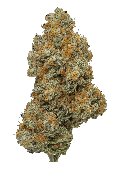 Northern Lights - 3.5G