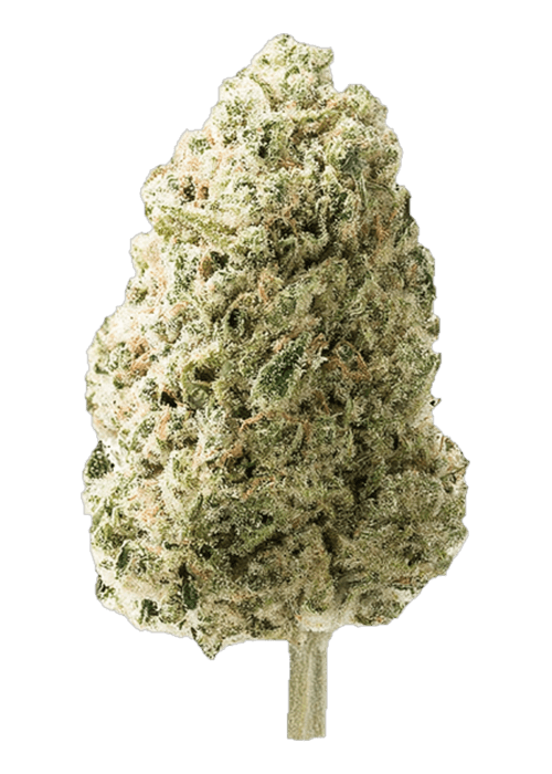 Cabiar - 3.5G