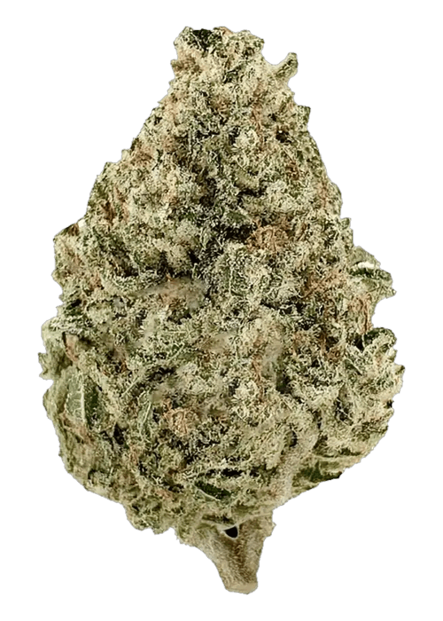 Cinex - 3.5G