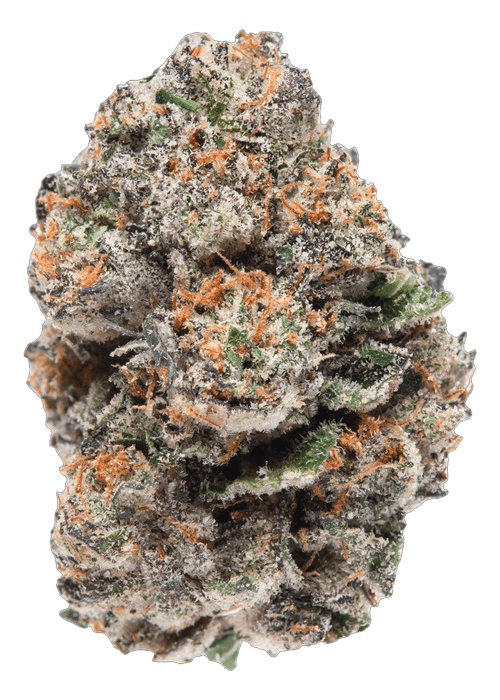 Raspberry Gushers - 3.5G