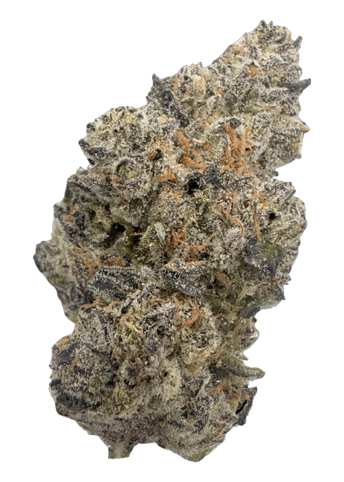 Tokyo Snow - 3.5G