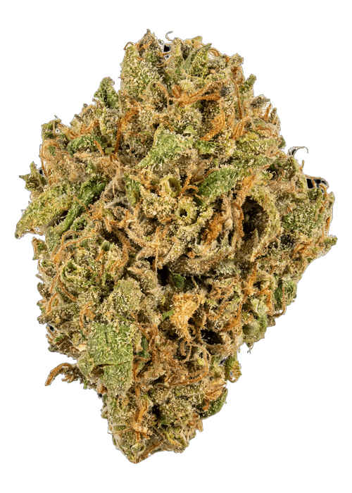 Gelato Sherbert  - 3.5G