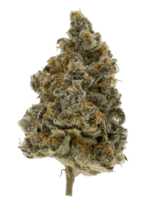 UK Super Boof - 3.5G