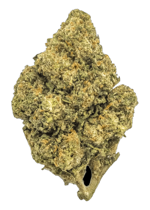 Secret Cookie - 3.5G