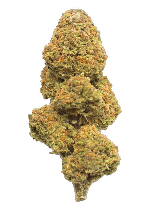Nel M - 3.5G