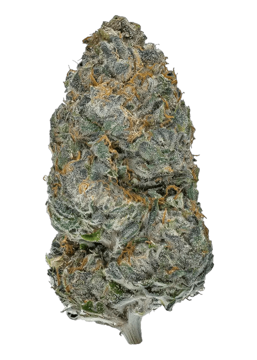 Abominable Cherries - 3.5G