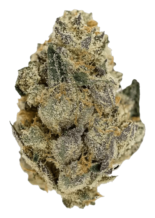 Grease Monkeys - 3.5G