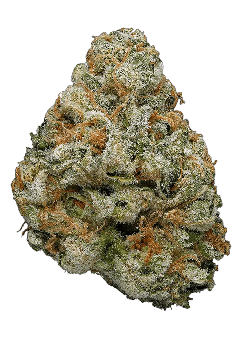 Candy Land - 3.5G
