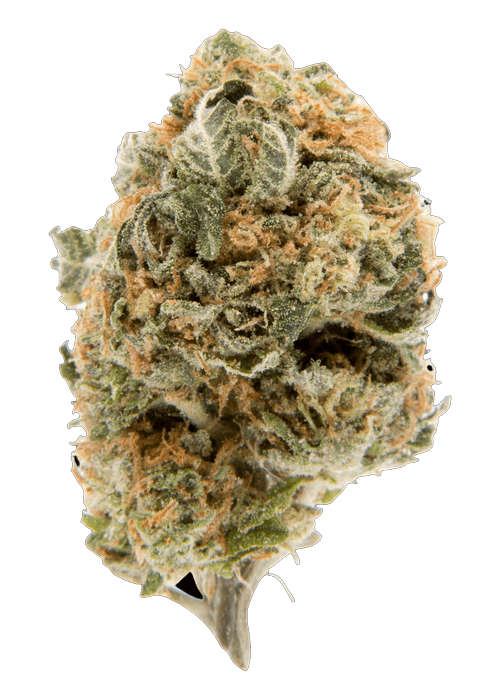 Blueberry Funndip - 3.5G