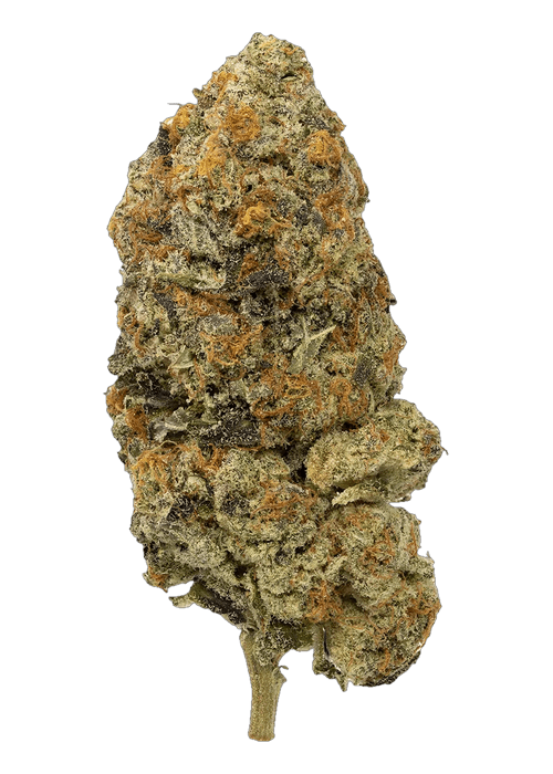 Slurricane by Connected - 3.5G