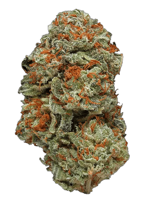 LA Confidential by Connected - 3.5G