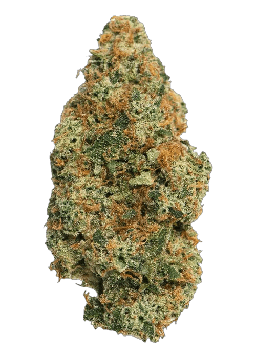 Mango Juice - 3.5G