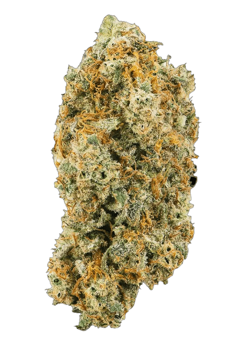 Bubblegum Shooters - 3.5G