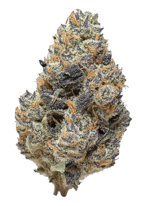 Zebra X Pink Sushi by B Eazy - 3.5G