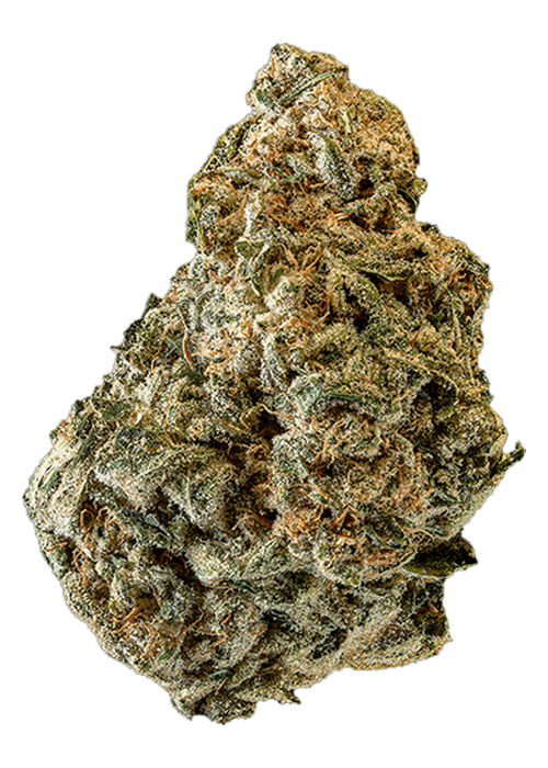 Lemon Sherbet  - 3.5G