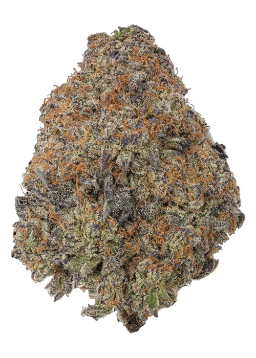 Black Cherry Gelato - 3.5G