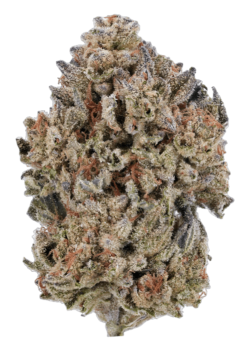 Bubba Cross  - 3.5G