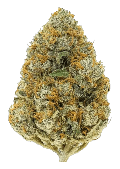 Red hottz - 3.5G