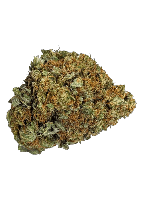 Snow White  - 3.5G