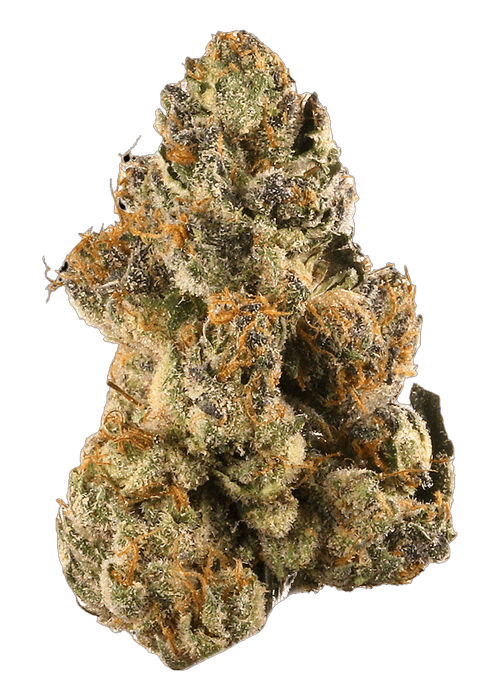 Gelato - 3.5G