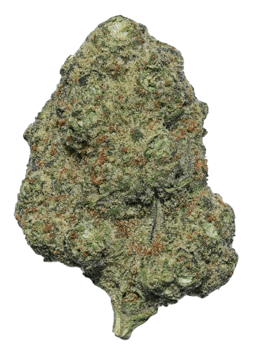 Raspberry Mochi - 3.5G