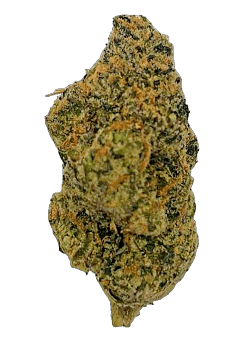 Master Zushi - 3.5G