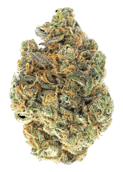 Platinum Gas - 3.5G