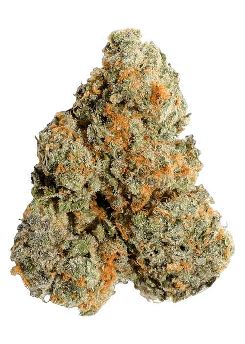 Jealousy - 3.5G