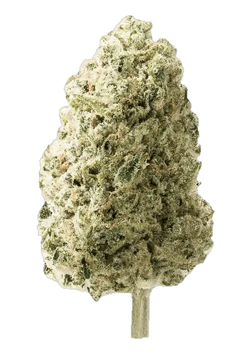 Candy Caviar - 3.5G