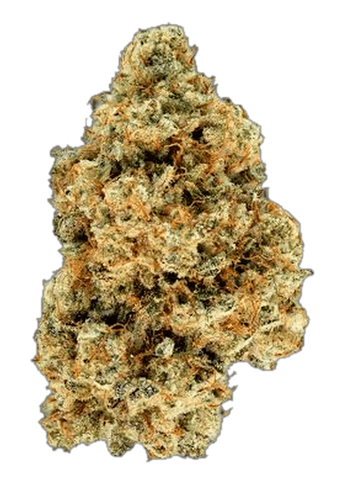 Sugar High - 3.5G