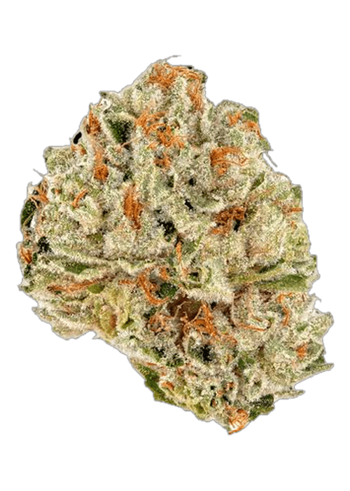 Cherry Blossom - 3.5G