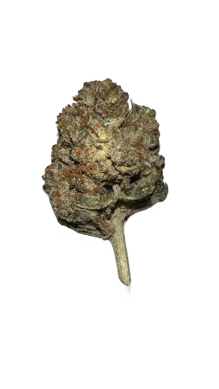 UK Stardawg - 3.5g