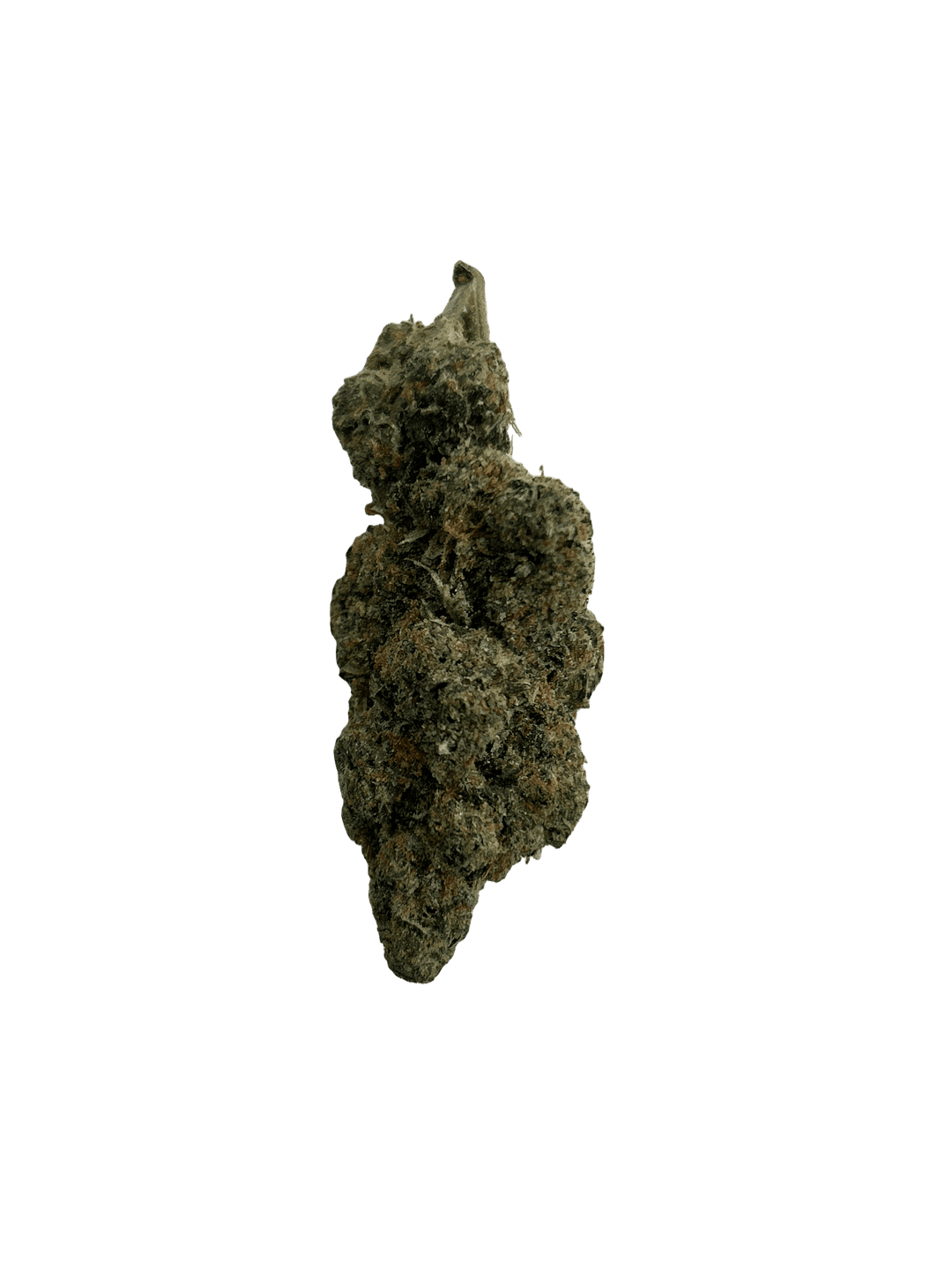 Britscotti - 3.5g
