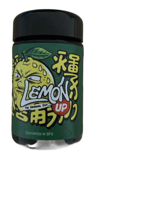 Lemon Up by SFV - 7g