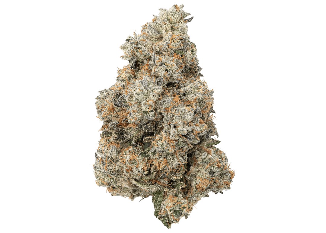 Jet fuel Gelato - 3.5G