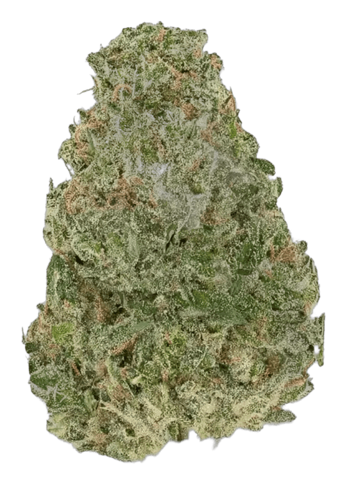 Perm Shade - 3.5G