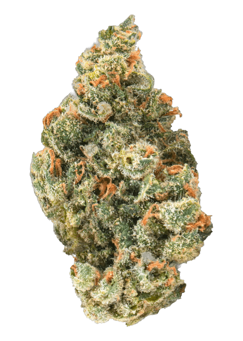 Cherry Gelato - 3.5G