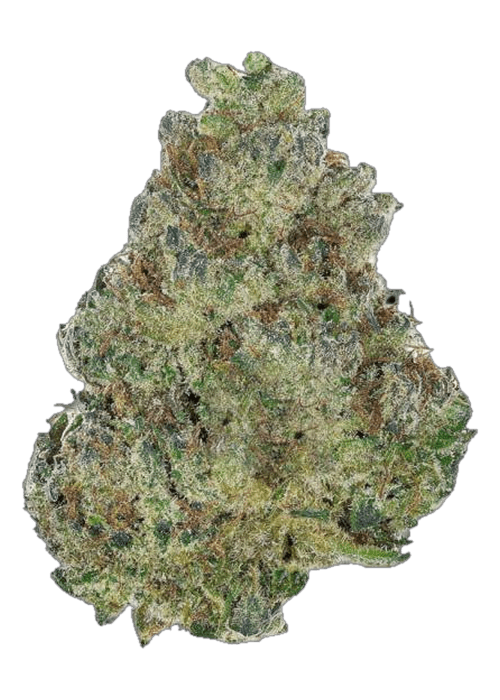 PackX - 3.5G