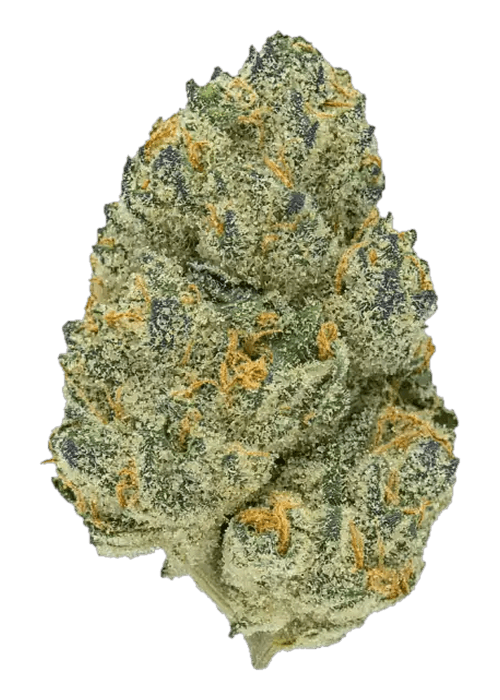 Wedding Crasher - 3.5G