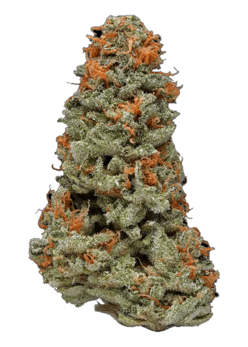 Crown Royale - 3.5G
