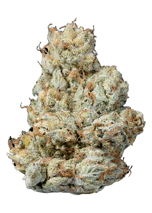 ADL by Connected - 3.5G