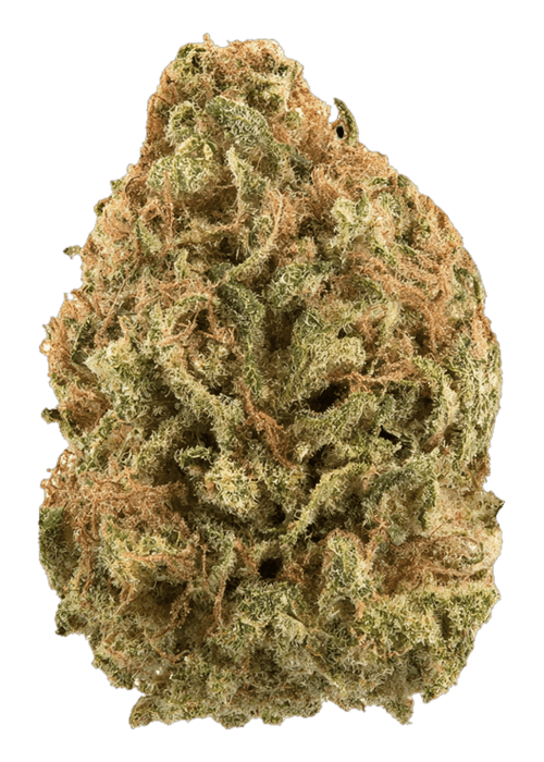 Lemon Z by Superdope - 3.5G